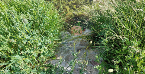 zbiornikapecna2 (Copy)