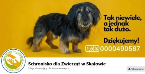 Adoptuj ze Schroniska dla Zwierząt w Skałowie