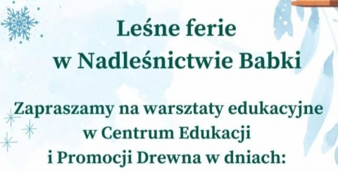 Leśne ferie w Nadleśnictwie Babki