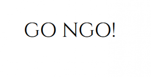 Program GO NGO