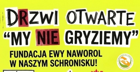 Drzwi Otwarte, jakich jeszcze nie było