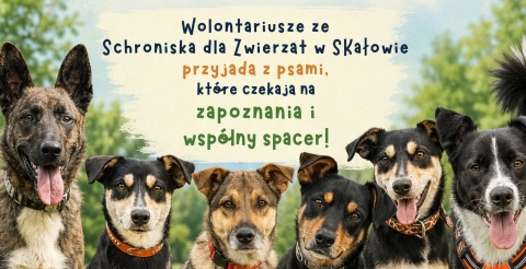 Spacer w Ptasim Parku