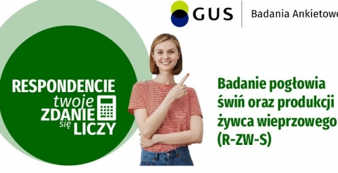 Badanie pogłowia świń oraz produkcji żywca wieprzowego (R-ZW-S)
