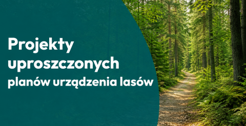 Projekty uproszczonych planów urządzenia lasów