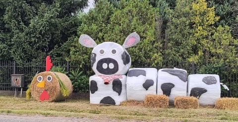 Zapraszamy na wydarzenia w sołectwach