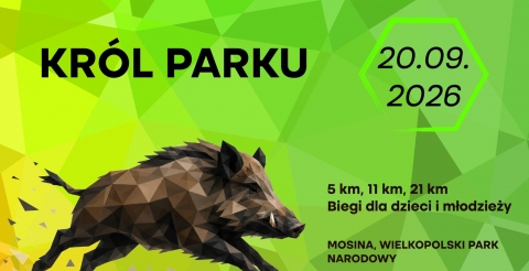 Król Parku — już 20 września wielkie spotkanie biegaczy