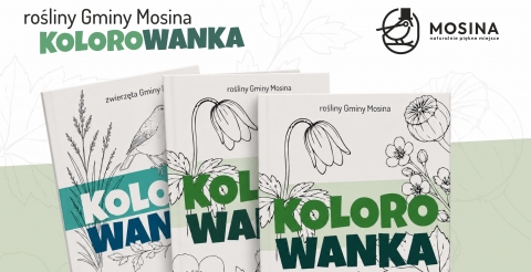 Nowa edycja naszej kolorowanki już jest! 