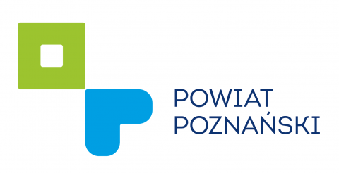 Konserwacja techniczna i estetyczna zabytku-kolumny 