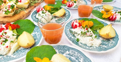 11 10 2026 zdjęcia konkurs Smak pyry 2026 (6)
