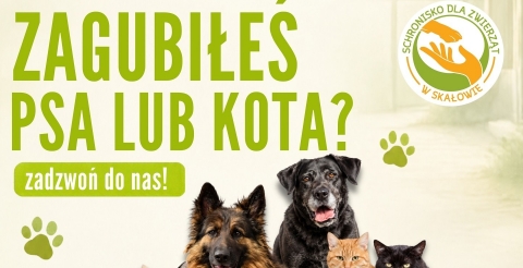 Zaginął Twój pies lub kot? 