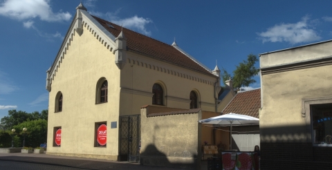 2 Galeria Sztuki w Mosinie (fot