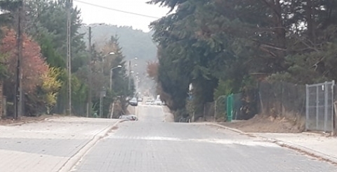 123924439_668274200726243_8850734270056876795_n