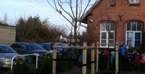 kasztanowce wiórek (Copy)