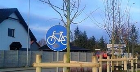 Lipy drobnolistne na ul