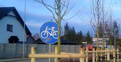 lipy drobnolistne ul