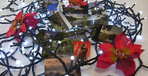 24909959_419605091787653_7558123993822084638_n (Copy)