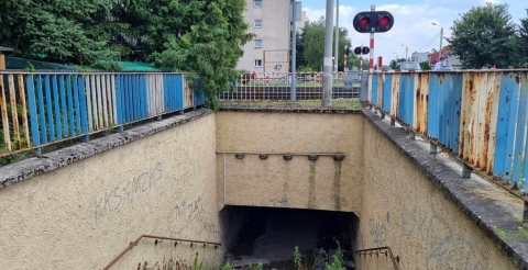 371458383_862113855661959_7352028620073971906_n (Copy)