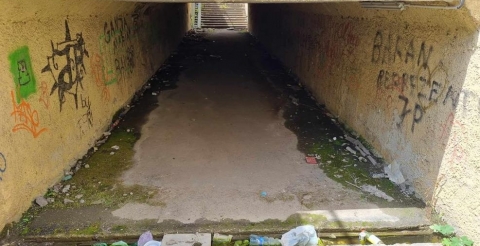 385531283_3697718207180841_4091721655002537804_n (Copy)