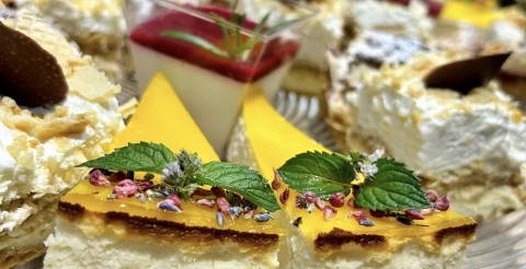 458499369_528333539728117_1172126191641013695_n