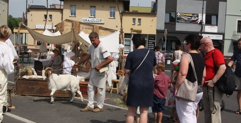 64250277_2368116470142937_1214039091092389888_n