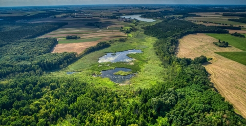 Trzcielińskie Bagno (fot Dykban)