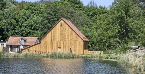 Łysy Młyn nad stawem młyńskim (fot