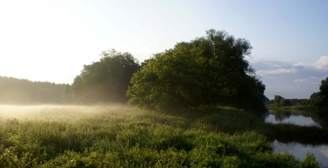 Ostrów Radzimski nad Wartą (fot