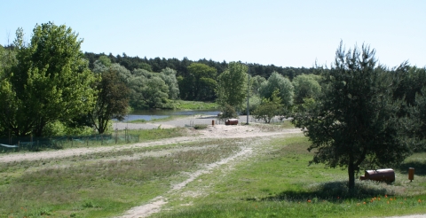 Zakole Warty w Puszczykowie (fot