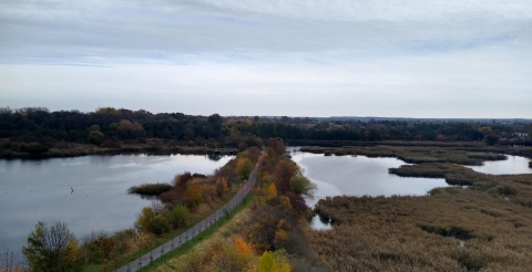 2 Widok z wieży widokowa na Szachtach w Poznaniu (fot