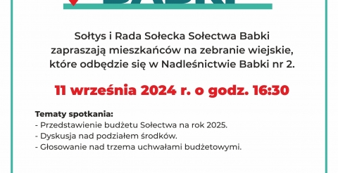 Zebranie wiejskie sołectwa Babki