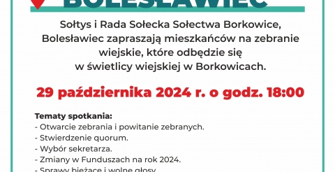 Zebranie wiejskie Sołectwa Borkowice, Bolesławiec