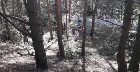 118878694_1255790444753384_2898659612850052771_n