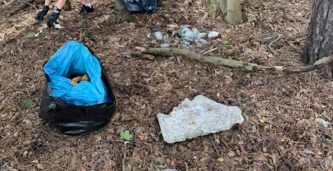 119044014_364200361250487_7864090228222808058_n