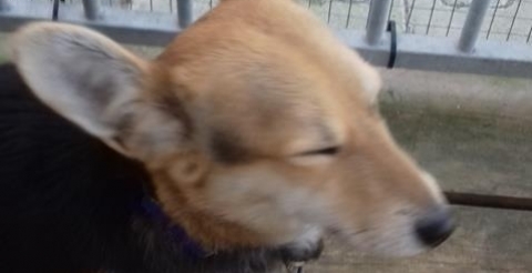 20180220_132205 (Copy)